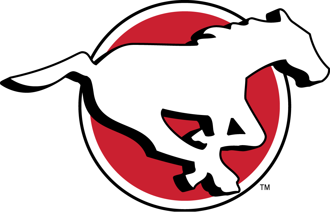 calgary stampeders 2012-pres primary logo iron on transfers for T-shirts